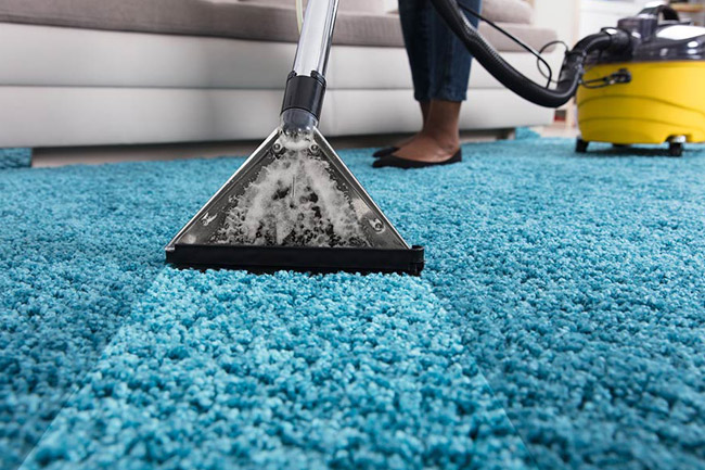Carpet steam cleaning service