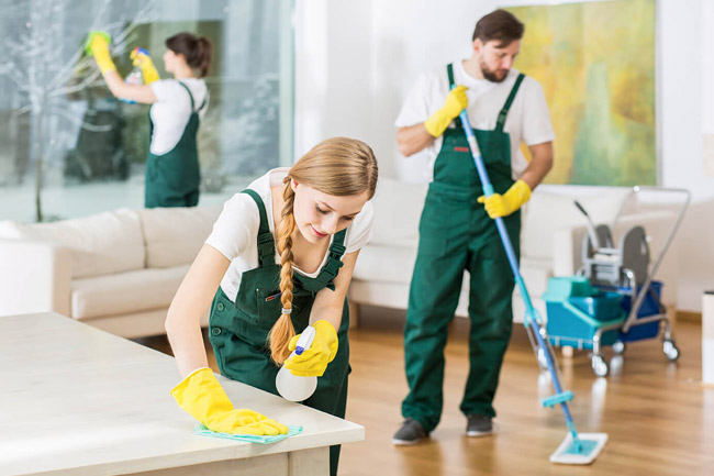 Professional End of Lease Cleaners at work