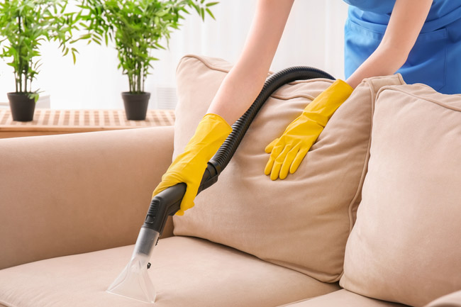 Professional upholstery cleaning service