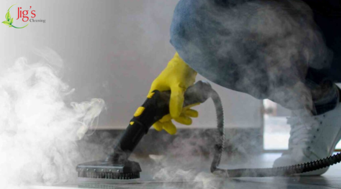 Why Carpet Steam Cleaning On Your Own is a Bad Idea?